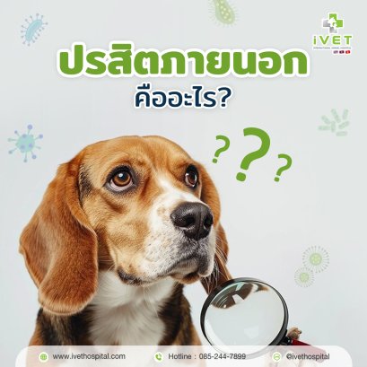 ปรสิตภายนอกคือใคร?